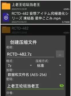 [自行打包] RCTD-482 冻结奸淫 星仲ここみ [1v+4G][百度秒传]